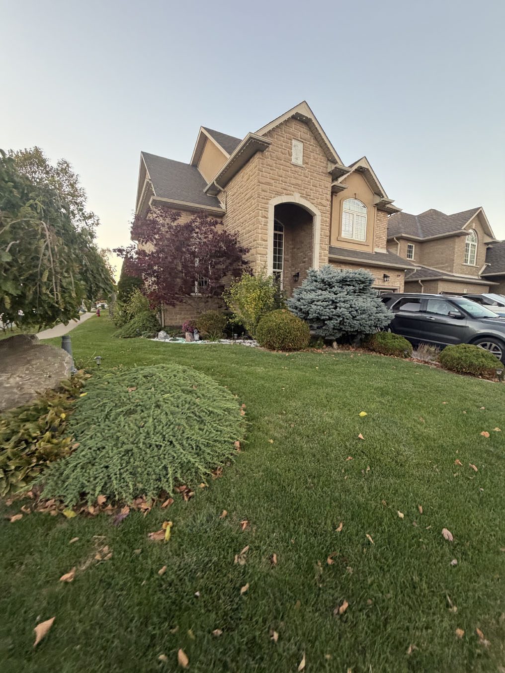 Sod lawn meeting a landscaped berm with evergreens and maples at a Hamilton home