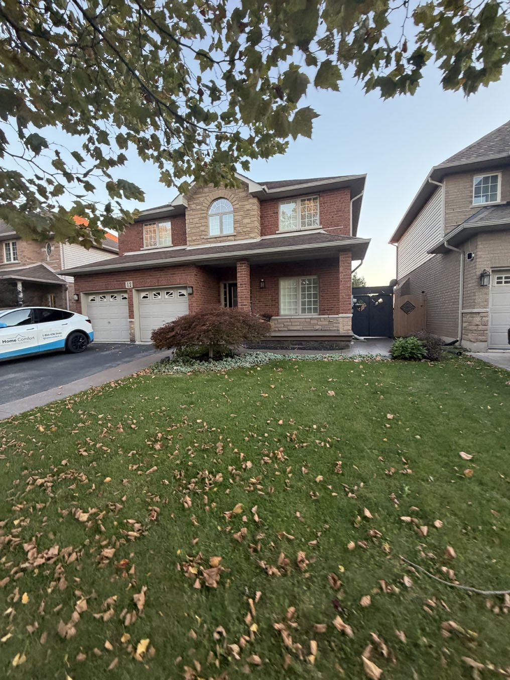 Front lawn under a mature maple with fall leaves at a Hamilton home