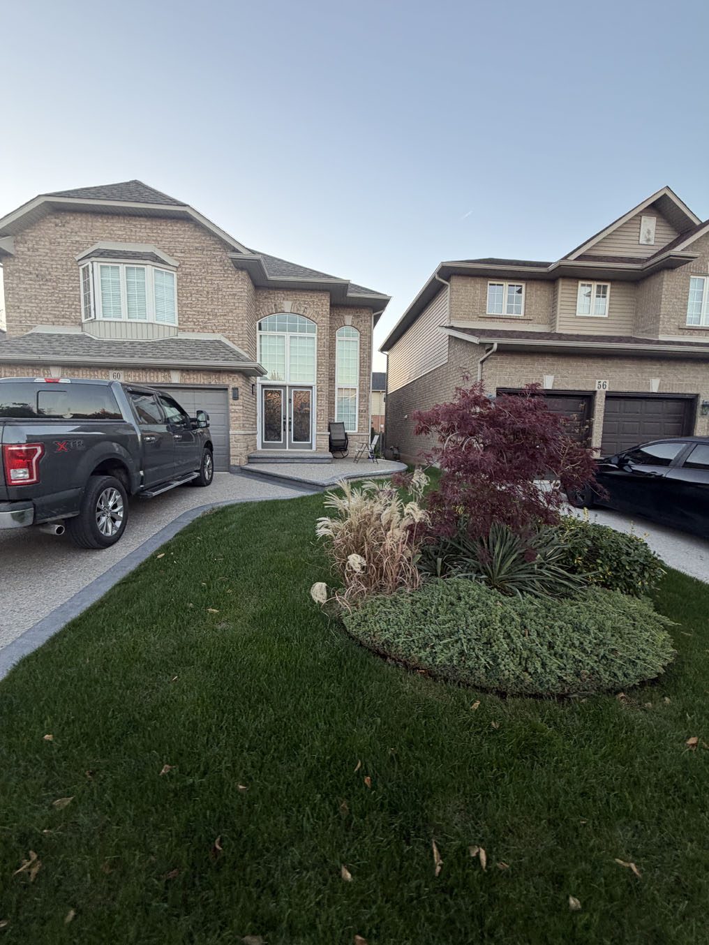 Sod lawn curving around an island bed with ornamental grass and a maple in Hamilton