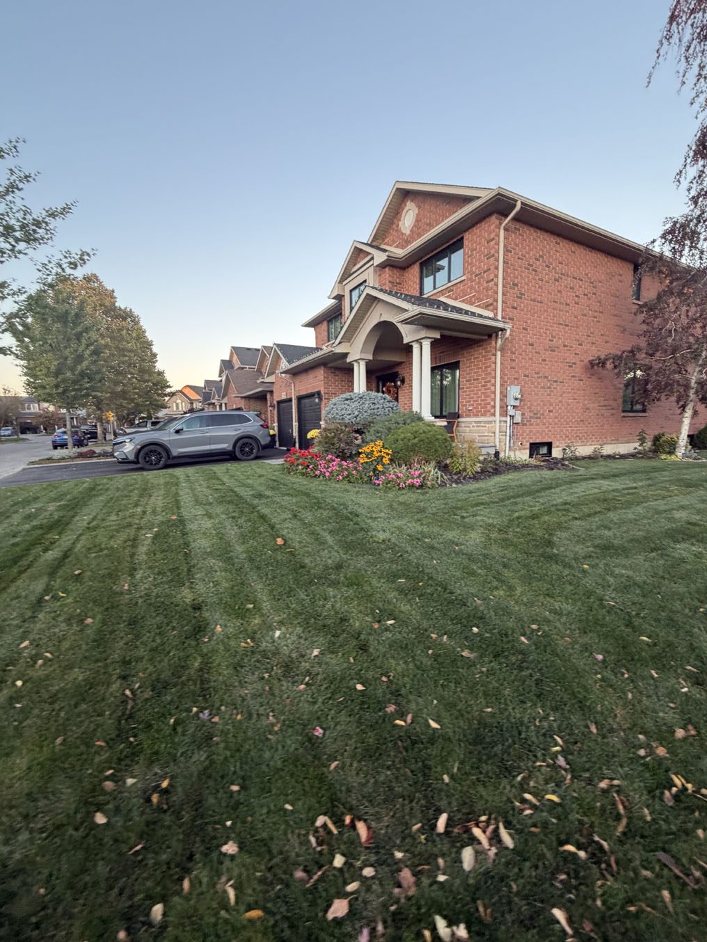 Mowing stripes across a corner-lot Kentucky Bluegrass lawn in Hamilton, Ontario