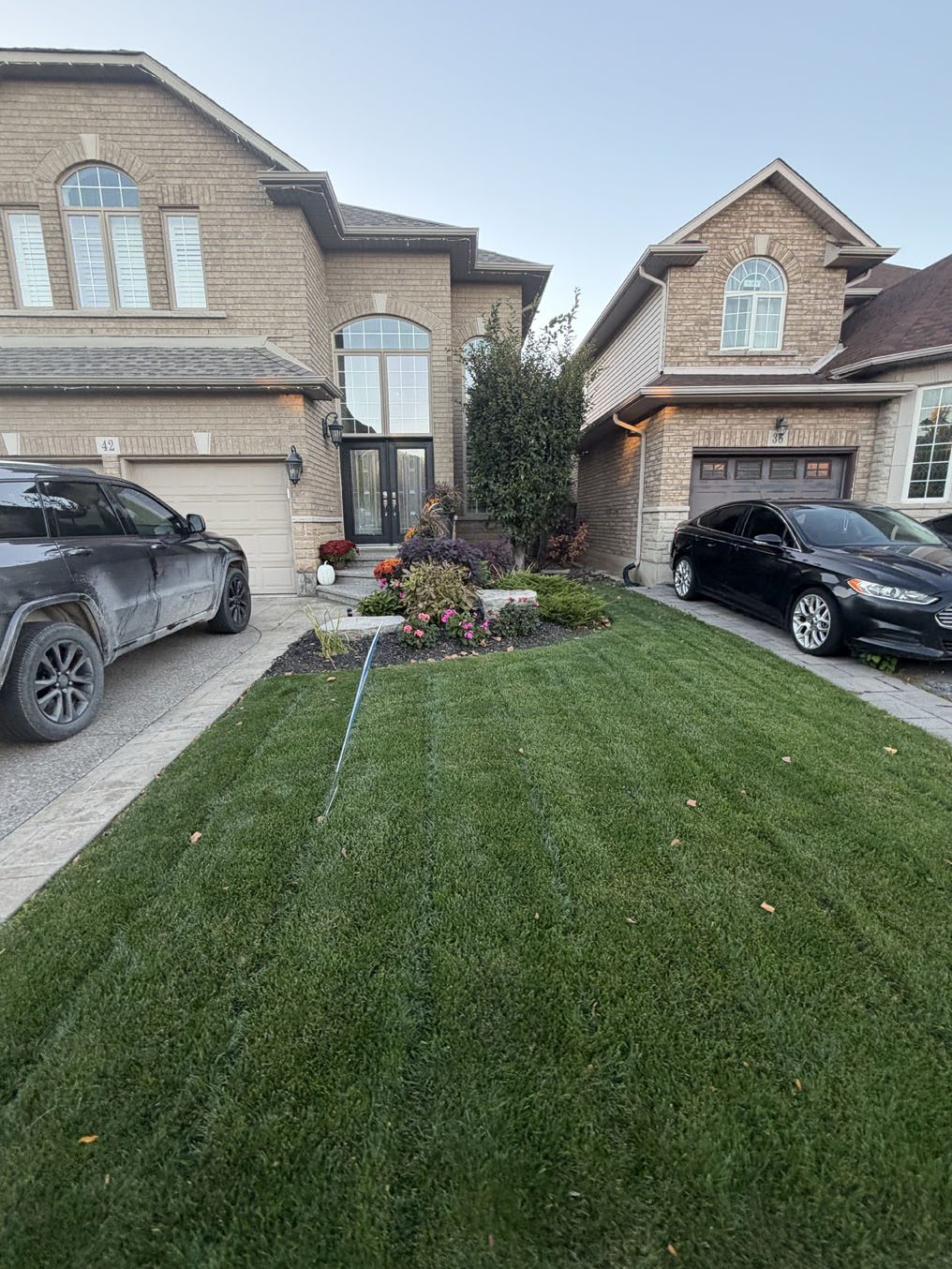 Mower-striped Kentucky Bluegrass front lawn between two driveways in Hamilton