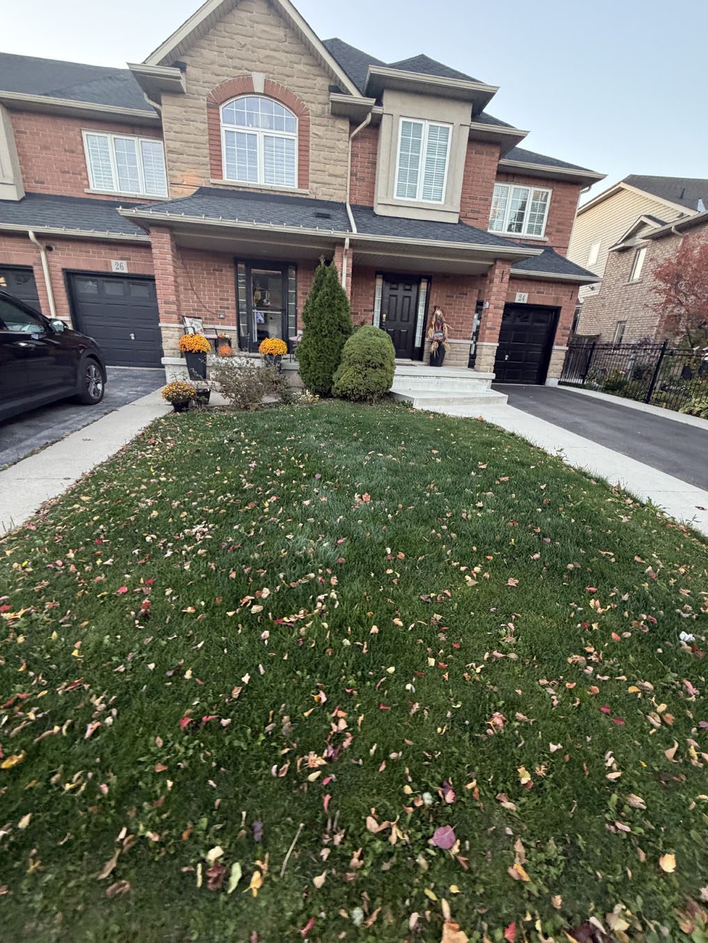 Sodded front lawn shared by brick townhomes on a Hamilton street