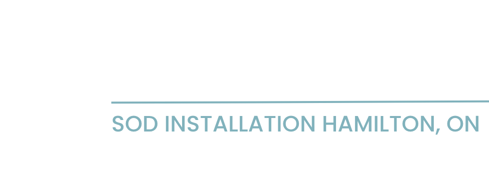 Right On Sod Hamilton | Premium Sod Installation