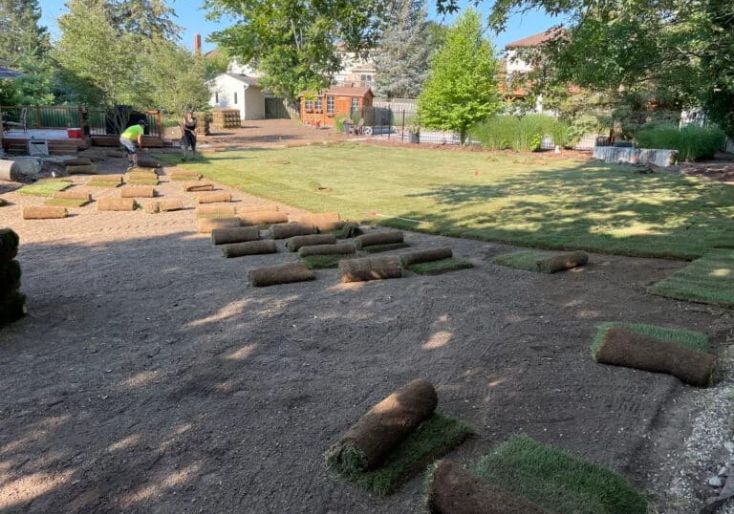 Services 5 Landscapers unrolling fresh sod over prepared topsoil during a backyard lawn installation in Hamilton.