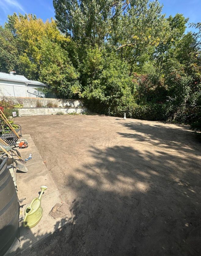 Complete Lawn Replacement 5 backyard-soil-grading-lawn-preparation-hamilton