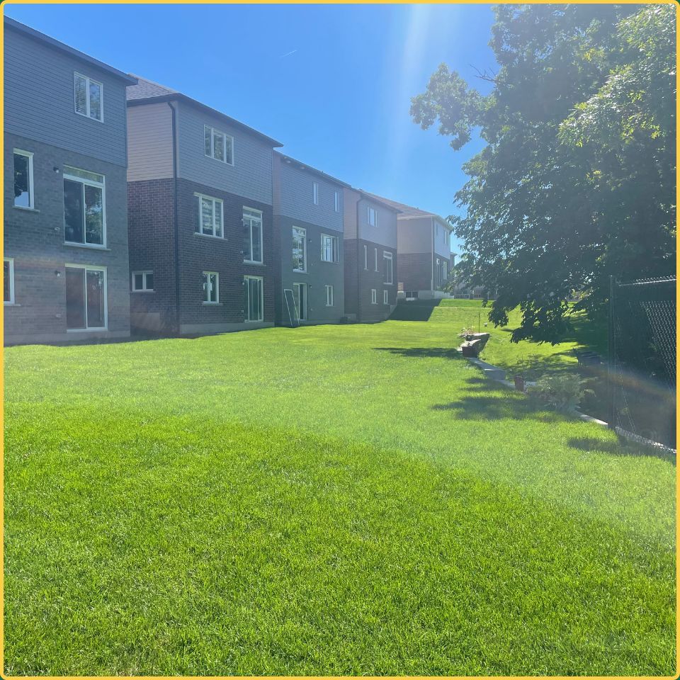 Professional soil grading and ground preparation in a brick apartment courtyard in Hamilton.