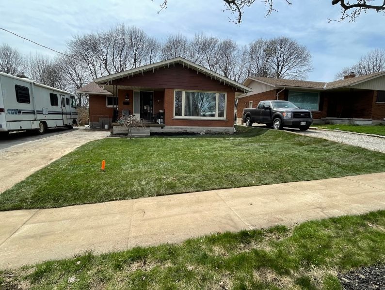 Freshly installed green sod on a residential front lawn of a brick house in Hamilton, Ontario.