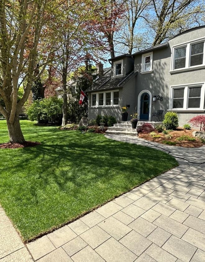 Gallery 18 A beautifully completed front yard sod installation featuring vibrant, lush green grass next to a grey house and driveway in the North End of Hamilton.