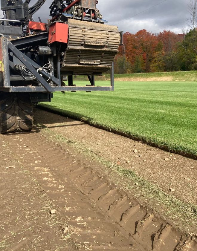 Gallery 26 Close-up of a mechanical sod harvesting machine cutting fresh strips of green grass in a field to supply a lawn installation in Downtown Grimsby.
