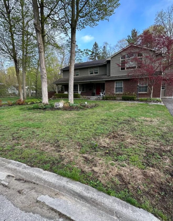 A residential front yard in Hamilton with a damaged, patchy lawn filled with weeds and bare dirt spots, shown before a professional lawn replacement.
