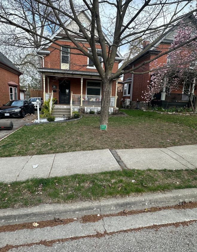 Gallery 1 A residential front yard with dead, patchy grass and a large mature tree before a professional sod replacement in the Corktown neighborhood of Hamilton, Ontario.