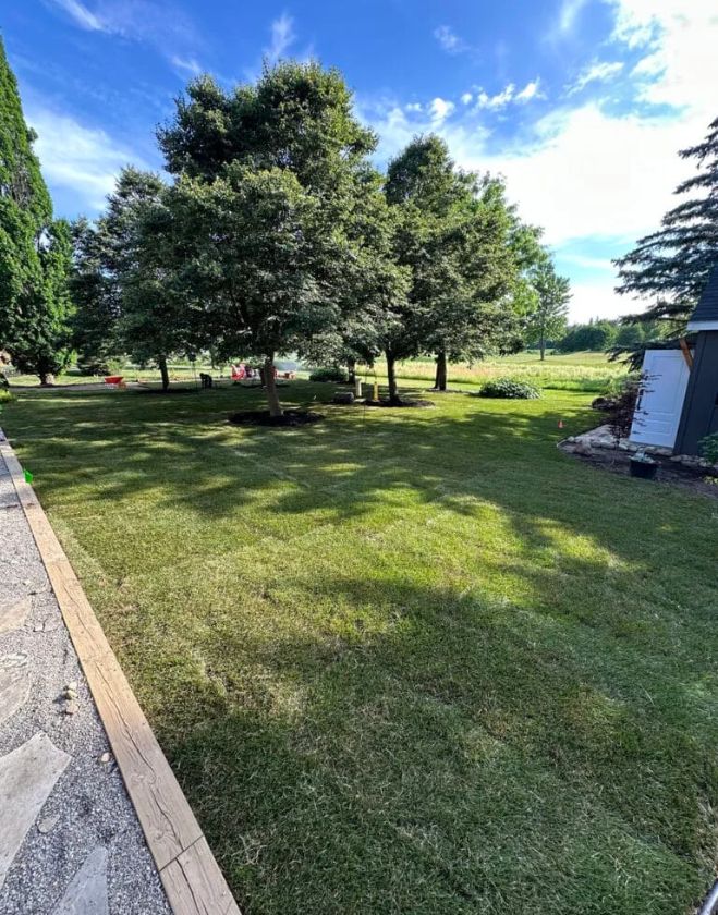 Lawn Repair 1 A sprawling residential backyard in Hamilton showcasing fresh green sod seamlessly patched and repaired around mature shade trees, next to a stone pathway.