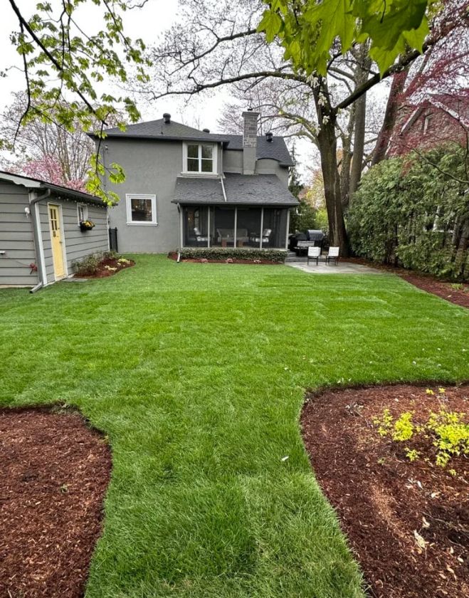 A beautifully transformed residential backyard in Hamilton featuring a perfectly leveled, lush green sod lawn surrounded by fresh brown mulch beds.