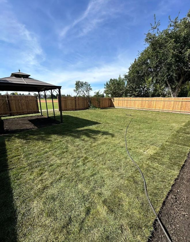 Complete Lawn Replacement 4 Freshly installed green sod in a large fenced backyard with a metal gazebo and a garden hose watering the new lawn in Hamilton, Ontario.