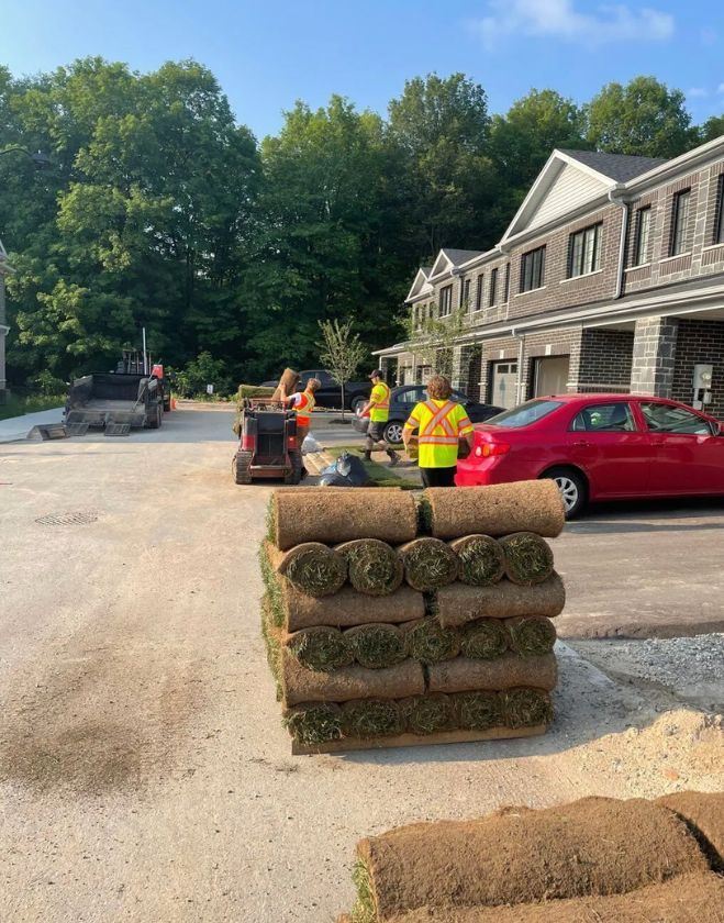 Complete Lawn Replacement 7 A pallet stacked with fresh rolls of green sod in the foreground, with a professional landscaping crew in safety vests using a mini loader to prepare for an installation at a townhome complex in Hamilton.