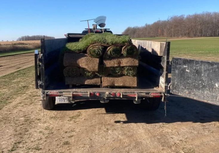 Services 2 A truck bed fully loaded with fresh Kentucky Bluegrass sod rolls ready for a complete lawn replacement in Hamilton.