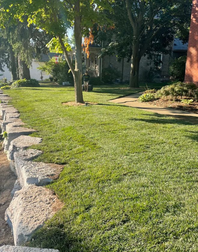 Gallery 34 Freshly installed green sod meticulously bordering a large natural stone retaining wall and a walkway at a residential property in North Grimsby.