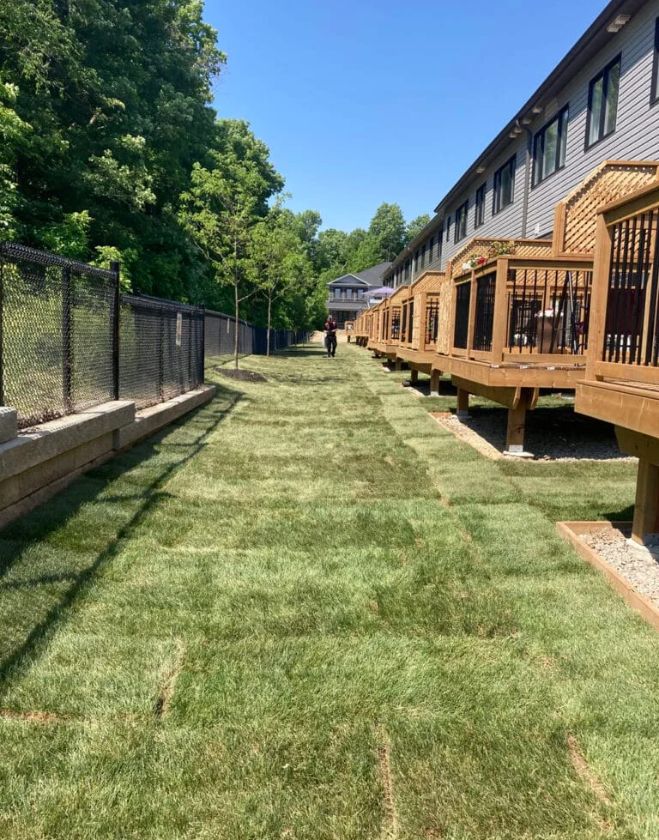 A long, continuous stretch of freshly installed lush green sod behind a row of wooden townhouse decks in Hamilton, showing a fully recovered lawn.