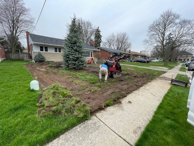 Landscaping crew using a mini skid steer to tear out an old front lawn and grade the soil in Hamilton, Ontario.