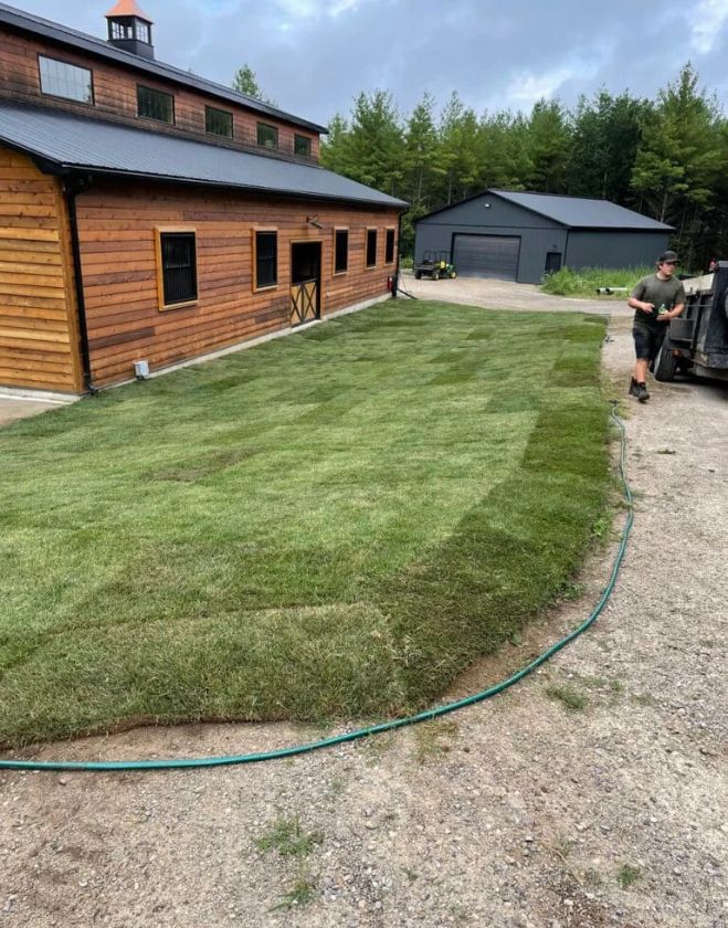 Freshly installed vibrant green sod repairing grub-damaged turf alongside a gravel driveway and a large wooden barn in Hamilton, with a landscaper working nearby.