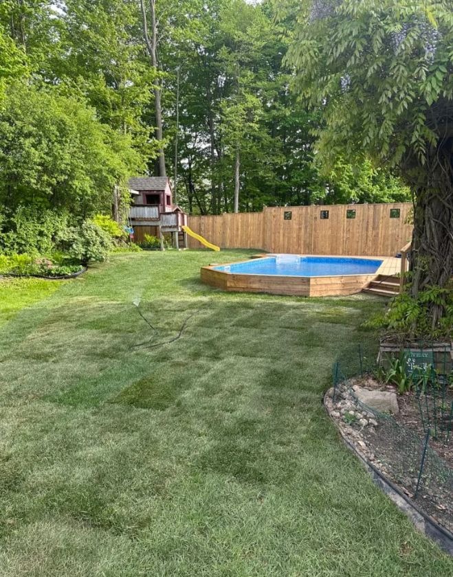 A lush, vibrant green lawn being watered by a sprinkler, surrounding an above-ground swimming pool and a children's playset in a residential backyard in Hamilton, Ontario.