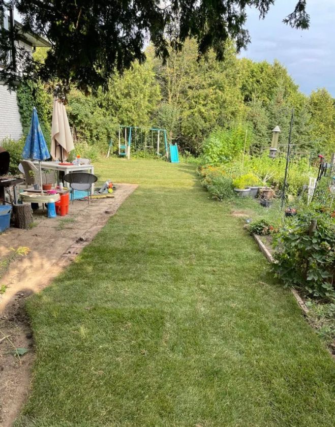 A long stretch of healthy, vibrant green grass free from grub damage, situated between a family patio area and a dense garden in a Hamilton residential backyard.