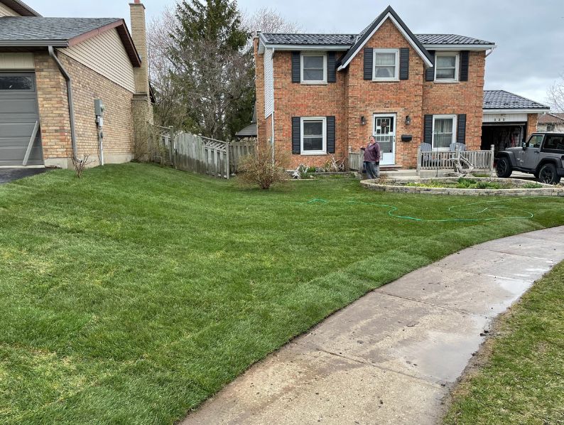 Freshly installed green sod in a spacious residential backyard with a wooden fence and garden beds in Hamilton, Ontario.