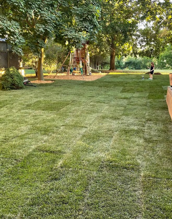 Gallery 33 A large, beautifully finished residential backyard with fresh green sod installed around a children's wooden playset and mature trees in North Grimsby.