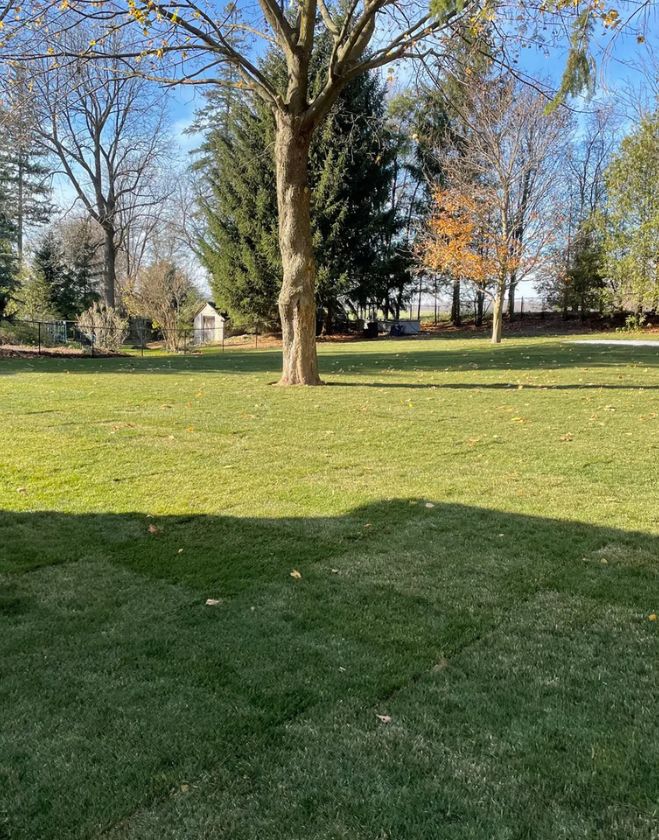 Gallery 29 A sprawling, beautifully finished residential backyard lawn with fresh green sod and mature trees in Downtown Grimsby, Ontario.