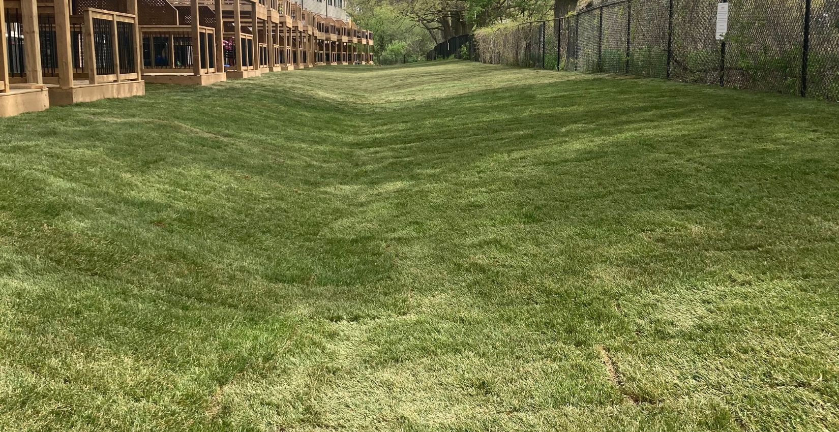 Contact Us 1 A large-scale commercial sod installation in progress behind a row of newly constructed residential homes in a Hamilton, Ontario subdivision.