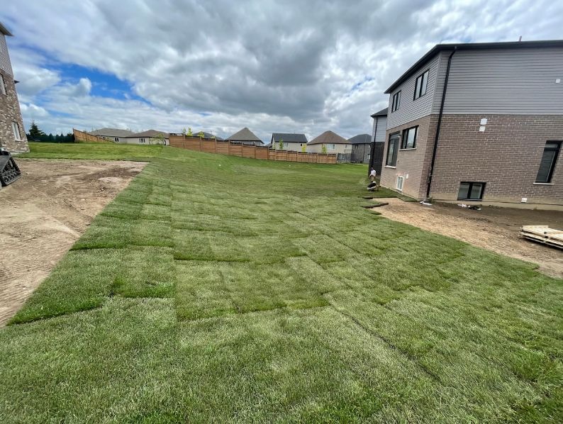 Active sod installation in progress on a large, sloped backyard of a newly built residential home in Hamilton, Ontario.