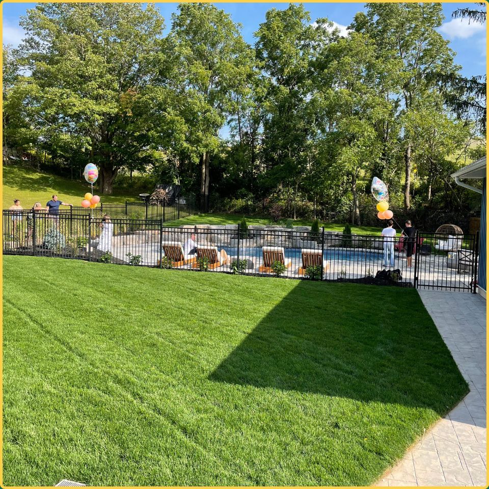 Lush, fertilized green lawn surrounding a backyard pool and patio in the Hamilton area