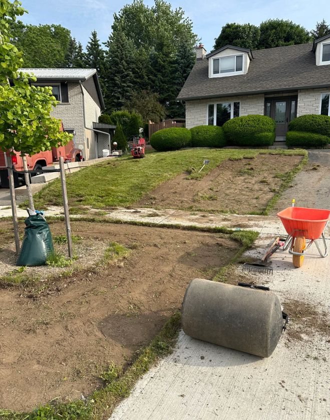 Gallery 5 A front yard partially stripped of old grass down to dirt, with a sod roller and wheelbarrow during a lawn replacement in Stinson, Hamilton.