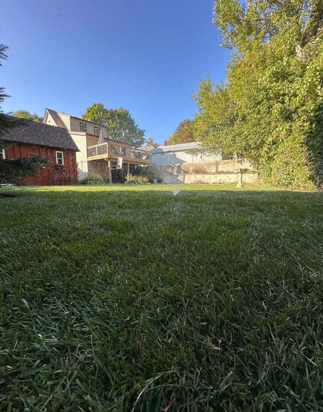 Complete Lawn Replacement 6 A low-angle close-up view of thick, newly installed green sod being watered by a sprinkler in a residential backyard with a wooden deck in Hamilton.