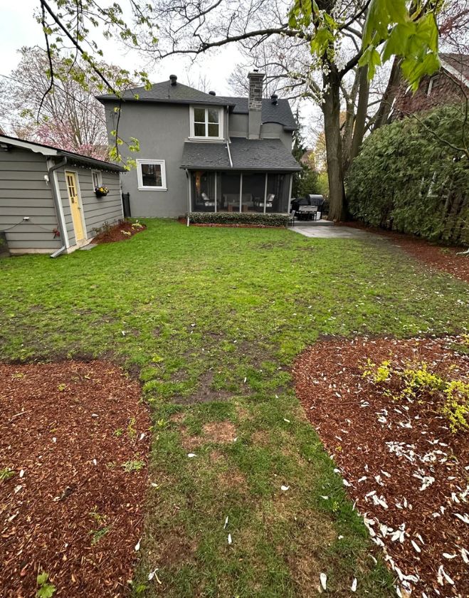 Gallery 9 A patchy, mossy backyard lawn bordered by mulch beds before a professional sod replacement project in the Beasley neighborhood of Hamilton, Ontario.