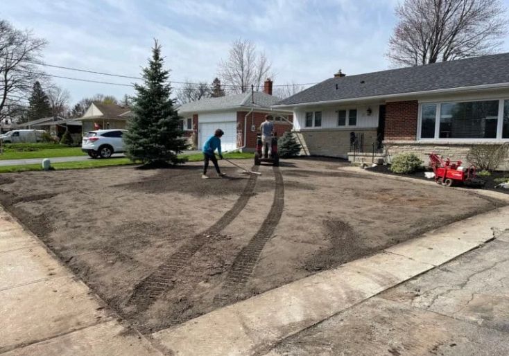 Services 1 Landscaping crew using a machine and rakes to prepare and grade the front yard soil for premium sod installation in Hamilton.