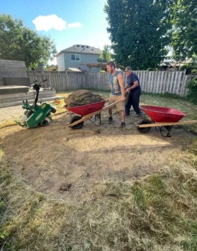 Two landscapers in a Hamilton residential backyard using red wheelbarrows and a green sod cutter machine to remove old turf and excavate dirt in preparation for professional lawn grading.