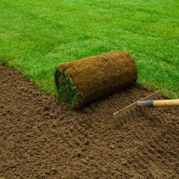 A landscaping rake smoothing out dark topsoil next to a fresh roll of green sod during lawn preparation in Hamilton.