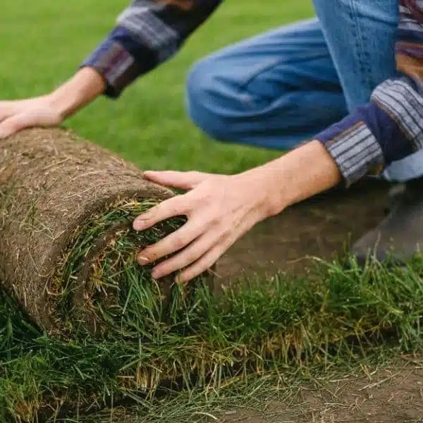 A landscaper kneeling on the ground, carefully unrolling a fresh roll of green sod onto prepared dirt in Hamilton.
